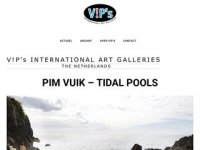V!P's International Art Galleries