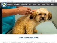 Screenshot van dierenartsenpraktijkbeilen.nl