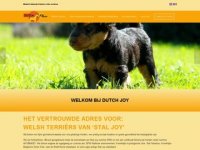 Screenshot van dutch-joy.nl
