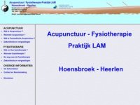 Screenshot van acupunctuur-lam.nl