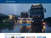 Screenshot van salomonstransport.nl