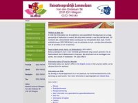 Screenshot van huisartsenpraktijklommelaars.nl